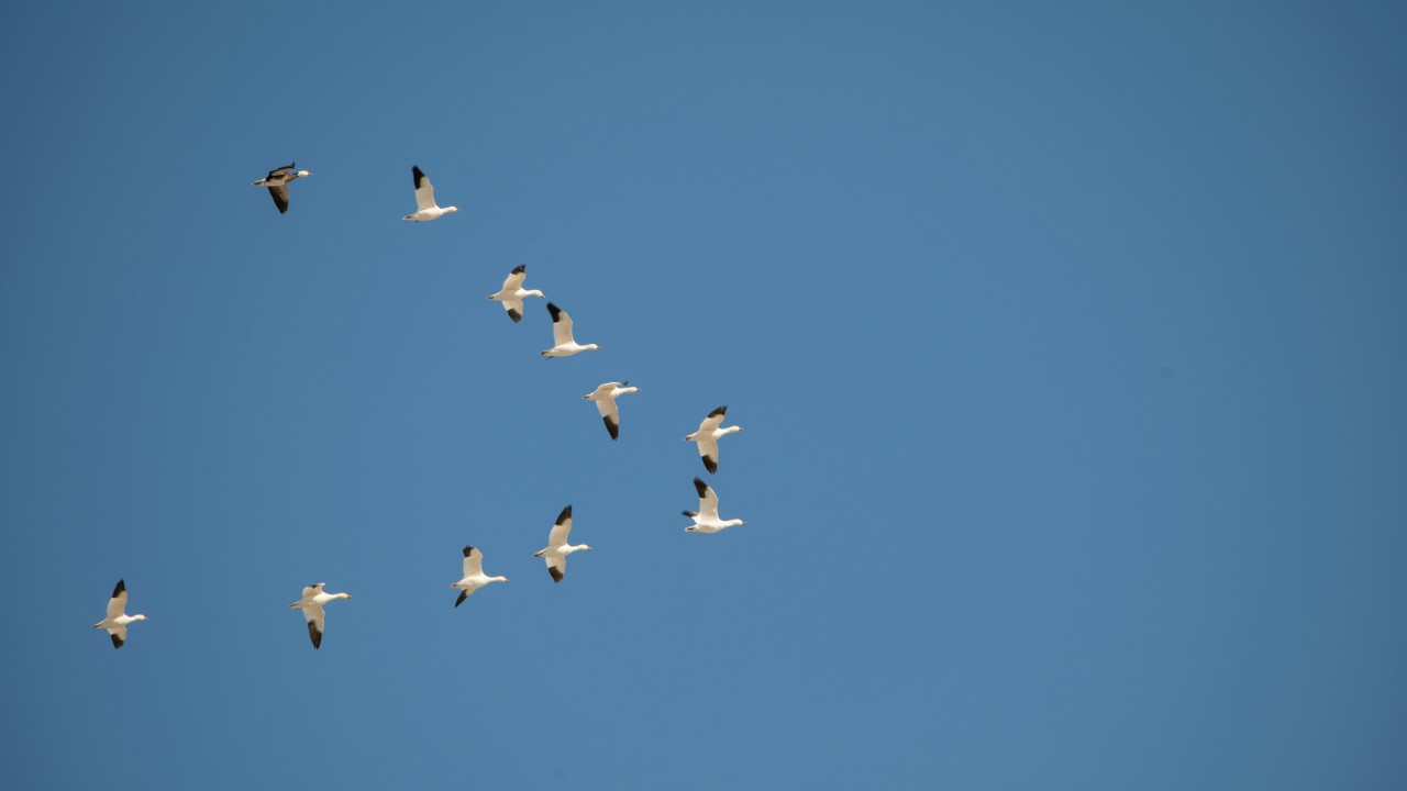 Secure Cloud Migration Checklist: Core Risks and Controls